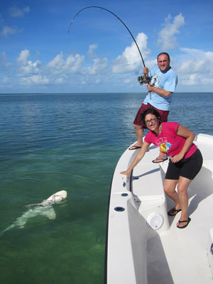 Nurse SHARK! Catch Clean Cook (FL Keys Bridge Fishing) 